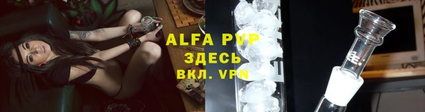 ГАЛЛЮЦИНОГЕННЫЕ ГРИБЫ Новодвинск