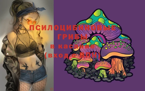 дмт Новозыбков