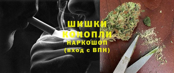 ГАЛЛЮЦИНОГЕННЫЕ ГРИБЫ Новодвинск