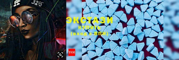 дмт Новозыбков