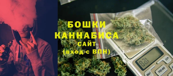 ГАЛЛЮЦИНОГЕННЫЕ ГРИБЫ Новодвинск