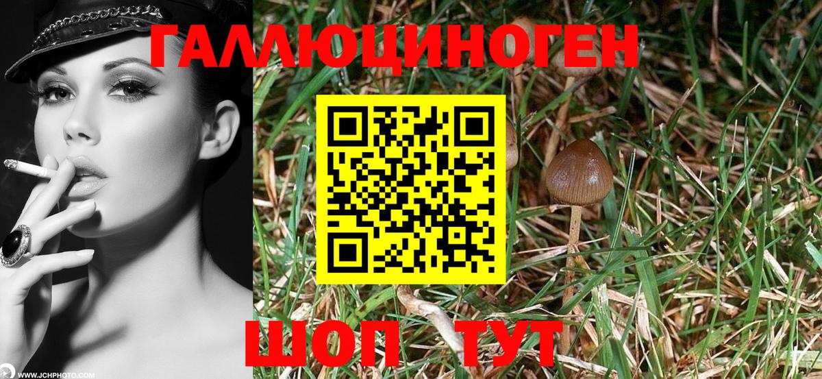 Псилоцибиновые грибы Magic Shrooms Клин