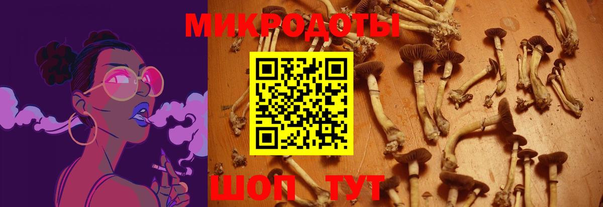 Псилоцибиновые грибы ЛСД  Галлюциногенные грибы GOLDEN TEACHER  Клин  где продают наркотики  Вход с VPN 